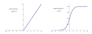 Mathematical graphs, showing the ReLU function and the Sigmoid function.